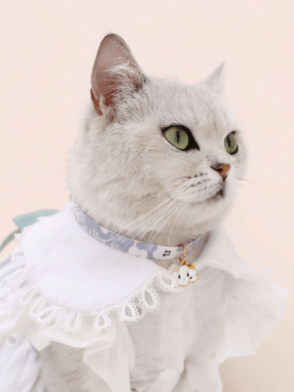 Cloud & Rainbow Pet Collar - Fluid